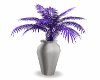 purple leaf plant