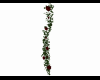 hanging rose vine single