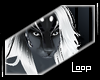 Slate v3 I M Hair 2