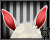 [M] Bunny ears *White*