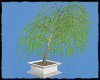 [Gel]Willow Tree