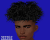 Black Curls
