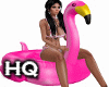 Pool Party / Flamingo