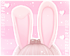F. Bunny Ears Peach