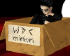 {R} WDC minion box