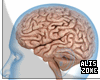 [AZ] Real Brain Avatar