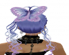 ombre butterfly