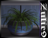 For Us Rm Plants