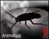 Amnesia Cockroach