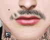 꽃 Beards