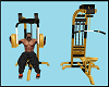 Home Gym