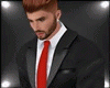 A*Suit DERIVABLE