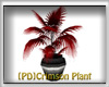 [PD]Crimson Plant