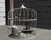 (GT)Deco birdcage