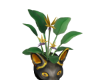plant cat egy