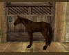 *Horse Country Animed