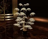 Orient Elegance Plant