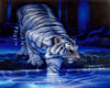 White Tiger Hot Couch 1