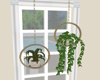 J|Hanging Plants I