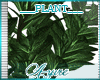 *A*HopeRiver Plant 2