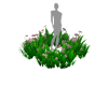 Kattur Flowers