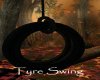 AV Tyre Swing