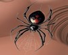 blackwidow earrings