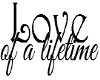 wall quote love/lifetime