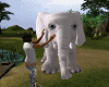 Little White Elephant