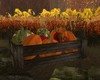 Pumpkins Crate