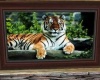 ~S~ Tiger Picture