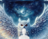 Owl background