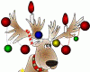 RainDeer with Lights