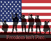 soldiers freedom sticker