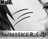 !W! Lucky Black Whiskers