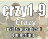 Lost Frequencies/crazy