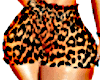 leopard set