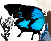 Ulysses Butterfly Wings