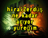 HiraiZerdüs-Ne Kadar
