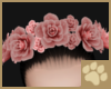 ~AM~ Fresa Head Roses