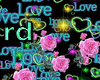 Love Heart  Rose Effect