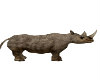 (SS)Safari Rhino