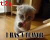 flavourd cat