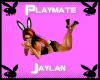 jaylan playmate picture