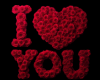 I Love You  Roses