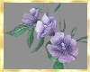 Flowers Purple 2 Contra