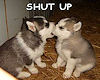 Puppy Shut Up -sticker