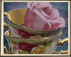 ML Antique Tea Cup Rose