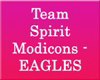 [CFD]Eagles Modicon