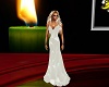 elegant bride  dress